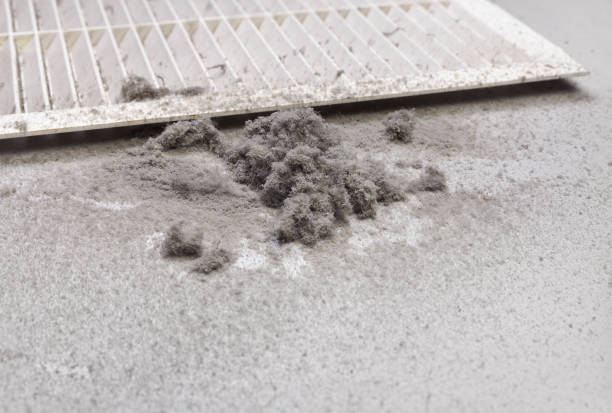 Best Affordable Air Duct Cleaning  in Biscayne Park, FL